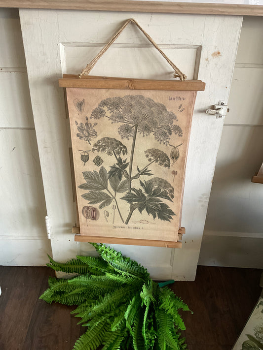 Floral Umbelliferae 2 Hanging Canvas