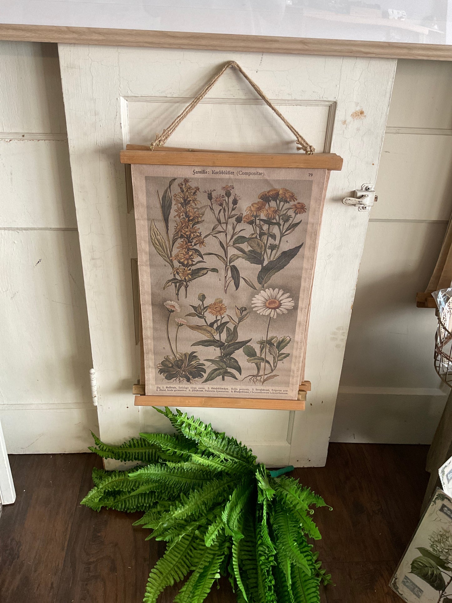 Floral Korbblütler 2 Hanging Canvas