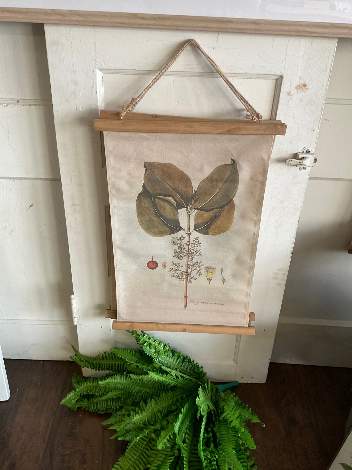 Plant Hanging Canvas