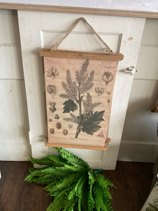 Floral Polygenaceae Hanging Canvas