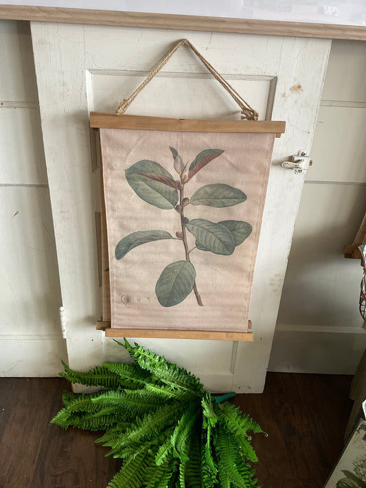 Ficus Hanging Canvas