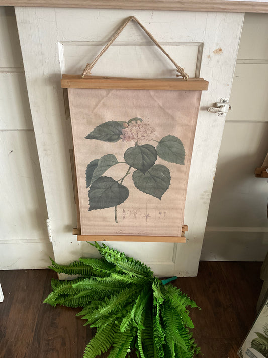 Floral Volkcameria Hanging Canvas